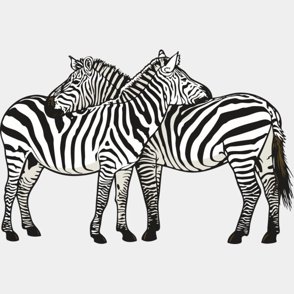 Pair Zebras Thumbnail