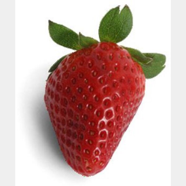Strawberry  white background  Thumbnail
